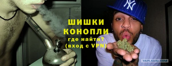 шишки Алзамай