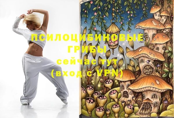 шишки Алзамай
