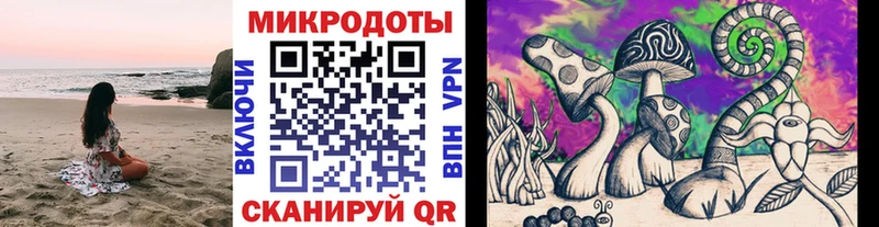 цена наркотик  ссылка на мегу зеркало  Псилоцибиновые грибы Psilocybe  Николаевск-на-Амуре 